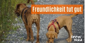 Beitragsbild des Blogbeitrags Freundlichkeit tut gut