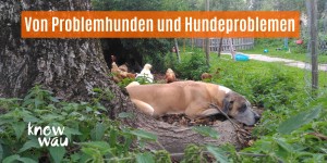 Beitragsbild des Blogbeitrags Von Problemhunden und Hundeproblemen 
