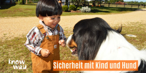 Beitragsbild des Blogbeitrags Sicherheit mit Kind und Hund 