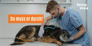 Beitragsbild des Blogbeitrags Da muss er durch – oder doch besser gemeinsam!
