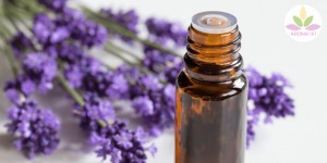 Beitragsbild des Blogbeitrags LAVENDELÖL: DAS ALLROUND-ÖL FÜR AROMATHERAPIE-EINSTEIGER