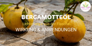 Beitragsbild des Blogbeitrags LICHTBRINGERÖL BERGAMOTTE: WIRKUNG & ANWENDUNGEN 