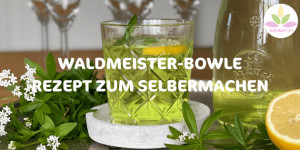 Beitragsbild des Blogbeitrags AROMATISCHE WALDMEISTER BOWLE: REZEPT ZUM SELBERMACHEN 