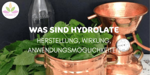 Beitragsbild des Blogbeitrags WAS SIND HYDROLATE: WIRKUNG UND ANWENDUNGEN