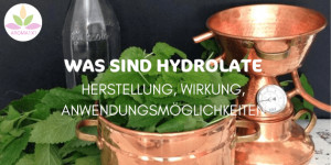 Beitragsbild des Blogbeitrags WAS SIND HYDROLATE: WIRKUNG UND ANWENDUNGEN 