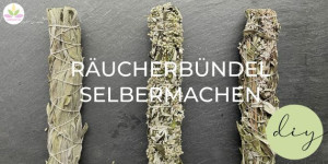 Beitragsbild des Blogbeitrags RÄUCHERBÜNDEL AUS HEIMISCHEN WILDFPLANZEN UND KRÄUTERN SELBERMACHEN