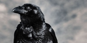 Beitragsbild des Blogbeitrags Das Hinrichten geht weiter - Von Galgenhügeln und Räderkreuzen