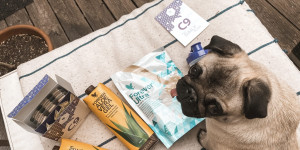 Beitragsbild des Blogbeitrags 9 Tage Clean 9 Kur
