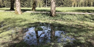 Beitragsbild des Blogbeitrags TRAVELosophy: Forest-Bathing im Schlosspark Hellbrunn 