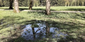Beitragsbild des Blogbeitrags TRAVELosophy: Forest-Bathing im Schlosspark Hellbrunn
