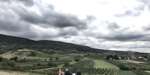 Beitragsbild des Blogbeitrags FYT Travel-Tipps: 8 Dinge, die man in Baden bei Wien getan haben muss