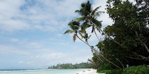 Beitragsbild des Blogbeitrags Silhouette Island, Seychellen: Piraten, Riesenschildkröten & Beachwalks 