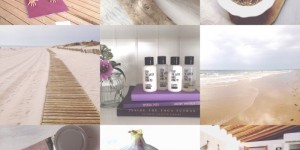 Beitragsbild des Blogbeitrags FYT Flashpacking Essentials im Oktober – Frische Feigen, eine {Yoga}-Reise ans Meer & eine neue Lieblingsfarbe. 