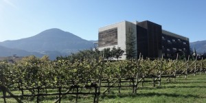 Beitragsbild des Blogbeitrags FYT YOGAREISEN: Mein YOGAdelight-Retreat mit René Hug im Bio- und Vitalhotel Theiner’s Garten in Südtirol 