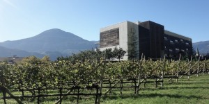 Beitragsbild des Blogbeitrags FYT Yogareise: Das pure (Bio-)Glück wohnt in Südtirol – Yin-Yoga mit René Hug im Hotel Theiner’s Garten