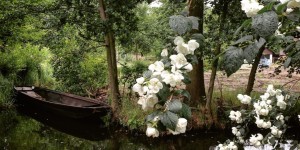 Beitragsbild des Blogbeitrags InstaTrip #19: Brandenburg – so grün ist der Sommer im Spreewald! 