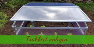 Beitragsbild des Blogbeitrags Frühbeet mit Fußbodenheizung