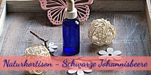 Beitragsbild des Blogbeitrags Naturcortison von der schwarzen Johannisbeere