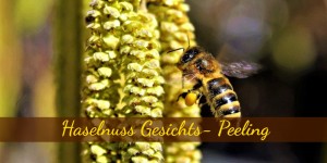 Beitragsbild des Blogbeitrags Gesichtspeeling aus Haselnussblüten