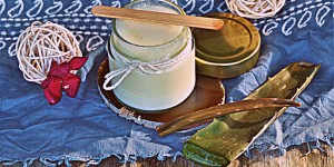 Beitragsbild des Blogbeitrags Feuchtigkeitsspendende Aloe Vera Creme 