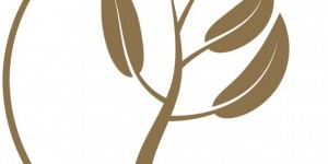 Beitragsbild des Blogbeitrags Heublumen die Kraft der Wiese für unser seelisches Wohlbefinden