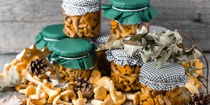 Beitragsbild des Blogbeitrags Eierschwammerl-Pfifferlinge haltbar machen inklusive 3 inspirierende Rezepte