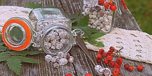 Beitragsbild des Blogbeitrags Kandierte Ebereschenbeeren - die wild herbe Nascherei