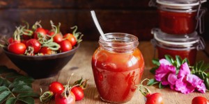 Beitragsbild des Blogbeitrags Hagebutten Ketchup