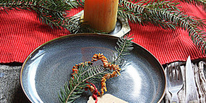 Beitragsbild des Blogbeitrags Weihnachtlicher Schmuck aus Zitrusschalen 