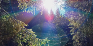 Beitragsbild des Blogbeitrags Liebeserklärung an den Herbst