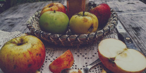 Beitragsbild des Blogbeitrags Apfelpulver - der Zucker zu Notzeiten 