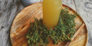 Beitragsbild des Blogbeitrags Sommerlicher Sirup aus der strahlenlosen Kamille