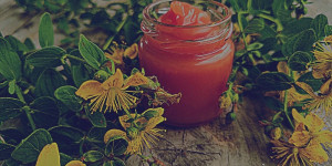 Beitragsbild des Blogbeitrags Johanniskrautsalbe - das Gold der gelben Blüten