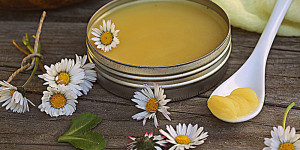 Beitragsbild des Blogbeitrags Das Arnika der Kinder - die Gänseblümchensalbe