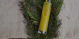 Beitragsbild des Blogbeitrags Douglasien - Ringelblumen Lotion