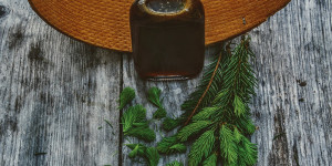 Beitragsbild des Blogbeitrags Fichtenwipferl Balsamico Cream