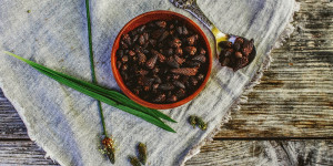 Beitragsbild des Blogbeitrags Eingelegte Spitzwegerichknospen als Anti Pasti