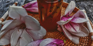 Beitragsbild des Blogbeitrags Delikatesse Magnolienblüten - sauer eingelegt 