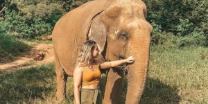 Beitragsbild des Blogbeitrags The Elephant Sanctuary Koh Samui  