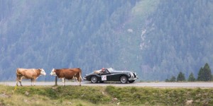 Beitragsbild des Blogbeitrags Die Sieger der Ennstal Classic und der GARANTA Jaguar Trophy stehen fest!