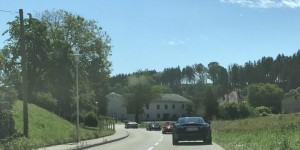 Beitragsbild des Blogbeitrags 31 Jaguare waren On the road again