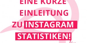 Beitragsbild des Blogbeitrags Instagram Statistiken – eine kleine Einleitung