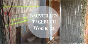 Beitragsbild des Blogbeitrags Baustellentagebuch Woche 32 (KW 9/20) 
