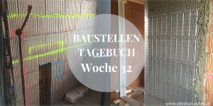 Beitragsbild des Blogbeitrags Baustellentagebuch Woche 32 (KW 9/20)