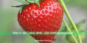 Beitragsbild des Blogbeitrags Was in der Liebe zählt – das Umfrageergebnis! 