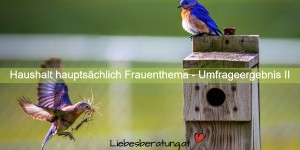 Beitragsbild des Blogbeitrags Kinder, Haushalt und Gesundheit sind Frauenthemen laut Umfrageergebnis