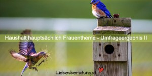 Beitragsbild des Blogbeitrags Kinder, Haushalt und Gesundheit sind Frauenthemen laut Umfrageergebnis 