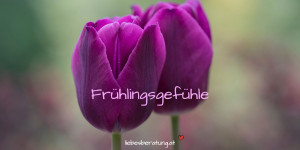 Beitragsbild des Blogbeitrags Frühlingsgefühle