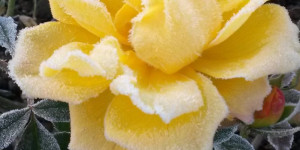 Beitragsbild des Blogbeitrags Kennst du die geheimen Wünsche der Frauen? 