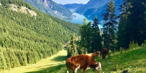 Beitragsbild des Blogbeitrags Warum es für Menschen am Land schwieriger ist, sich mit Persönlichkeitsentwicklung & Spiritualität zu beschäftigen